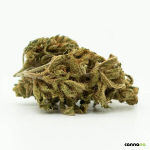 CBD Shops